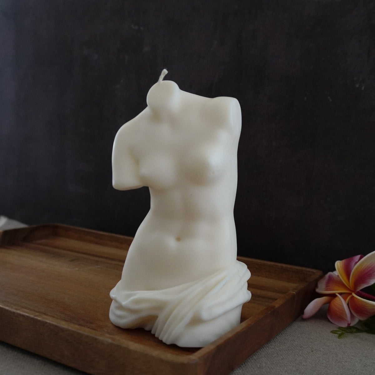 The Venus Silicone Candle Mould